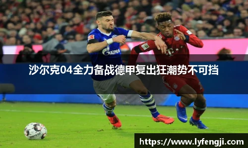 沙尔克04全力备战德甲复出狂潮势不可挡